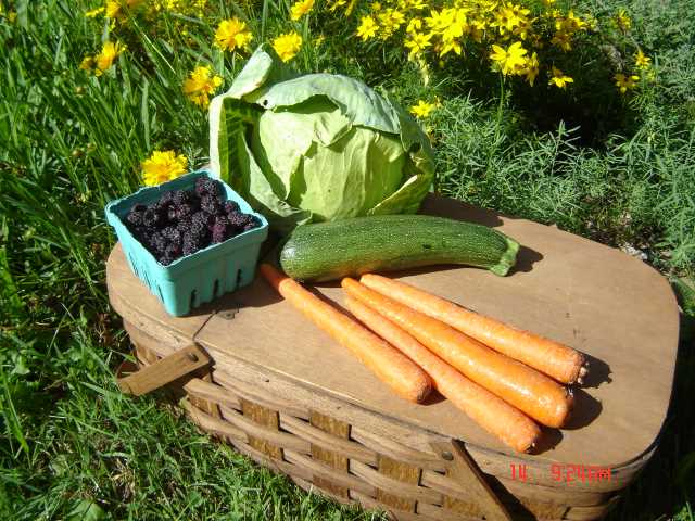 Jacobs Ladder Trail on OverlookMaps.com