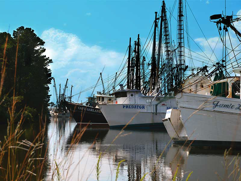 Pamlico Scenic Byway